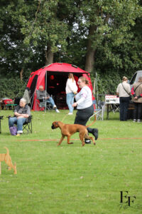 IMG_1124_EF