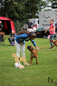 IMG_1164_EF