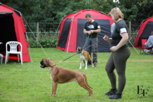 IMG_1790_EF